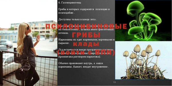 mdma Горняк